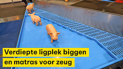 Innovaties van Nooyen Pig Flooring op EuroTier 2024.