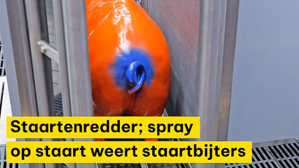 Spray op staart ontmoedigd staartbijten.