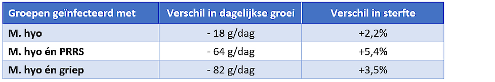 Invloed van Mycoplasma en co-infecties op de groei van varkens