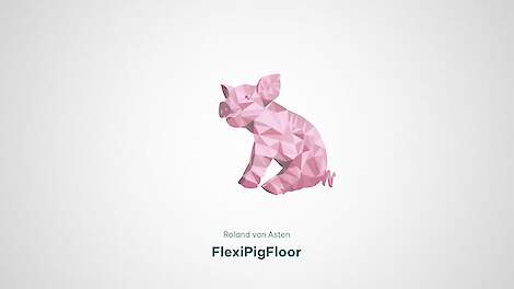 FlexiPigFloor - Het Beste Idee Van Varkensland 2024