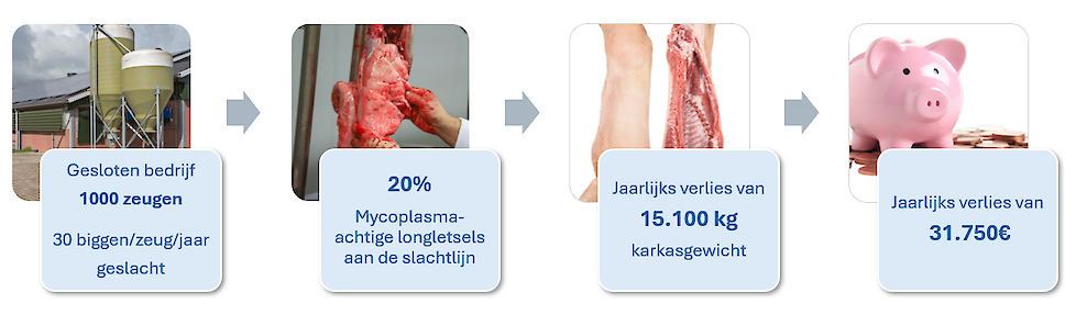 Jaarlijkse verliezen op een gesloten bedrijf met jaarlijks 30.000 afgeleverde vleesvarkens en 20% M. hyo-achtige longletsels aan de slachtlijn