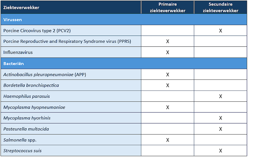 Vaak voorkomende ziekteverwekkers bij varkens en hun vermogen om op zichzelf luchtwegproblemen te veroorzaken (primaire ziekteverwekkers) of enkel onder specifieke omstandigheden zoals bij aanwezigheid van een gelijktijdige infectie met andere ziekteverwe