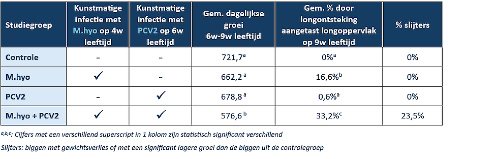 Dagelijkse groei, percentage door longontsteking aangetast longoppervlak en % slijters bij biggen die niet geïnfecteerd werden met PCV2 of M.hyo, en biggen die geïnfecteerd werden met alleen M.hyo, alleen PCV2 of met M.hyo én PCV2