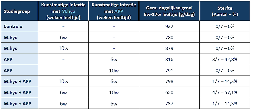 Dagelijkse groei en sterfte bij biggen die niet geïnfecteerd werden met M.hyo of APP, biggen die alleen geïnfecteerd werden met M.hyo of APP en biggen die geïnfecteerd werden met M.hyo én APP