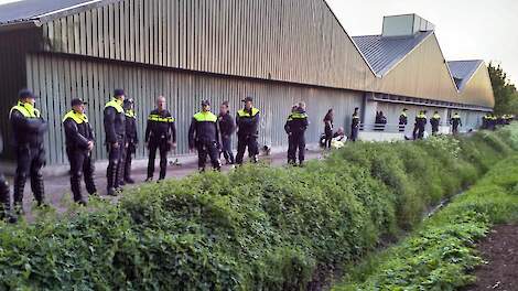 Dierenactivisten stalbezetting Boxtel vrijgesproken door gerechtshof Den Bosch