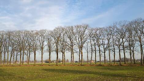 Alle risico's bij boeren door stikstofuitspraak