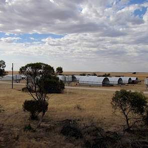 Sander Baks (43) verkocht zijn varkensbedrijf in het Gelderse Borculo en emigreerde in 2001 naar Australië. Zijn Nederlandse vrouw Jetty (45) leerde hij vlak voor vertrek kennen. Ze kochten in Australië een voormalig schapen- en akkerbouwbedrijf.