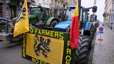 Landbouwminister Wiersma pleit voor een stikstofdecreet naar Belgisch voorbeeld