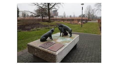 Kunstwerk ‘Zeug met biggen’ is gerestaureerd en teruggeplaatst