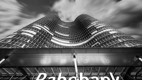 Rabobank: ‘EU-varkensvlees productie daalt licht, biggenmarkt blijft krap’