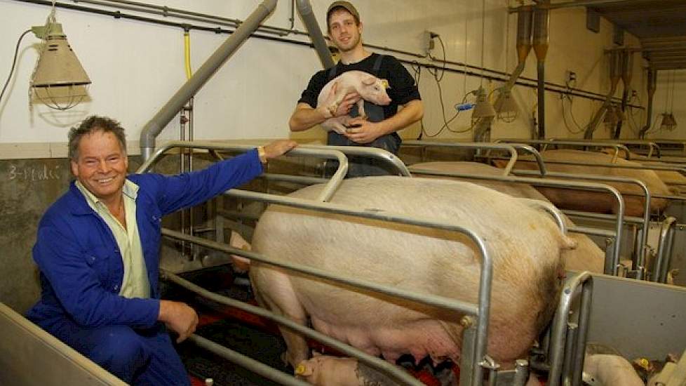 De Limburgse vermeerderaar houdt het daarom bij Topigs 20-zeugen. Die worden geleverd door fokbedrijf Coen Beerens uit het naburige Nederweert. Over die samenwerking is Nouwen prima te spreken. „De gelten worden goed berig.” De technische resultaten van z