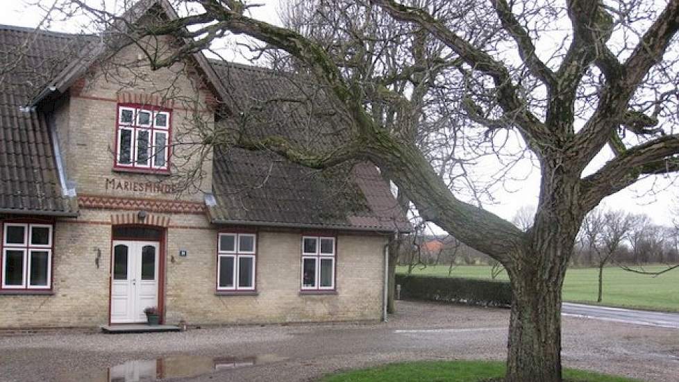 Uitbreiding met zeugen is geen optie. Ze willen niet teveel afhankelijk worden van personeel. Na hun carrière als varkenshouder, ziet Janny zich niet meer terug naar Nederland gaan. „Ik denk dat ik nu meer zou moeten wennen aan Nederland, dan ik ooit aan