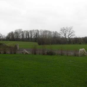 Even verderop ligt de tweede locatie van de familie Pedersen. Op deze locatie houden ze 2.500 gespeende biggen en 800 vleesvarkens. Het merendeel van de biggen voeren ze af op 35 kilo naar een vaste mester in Denemarken.