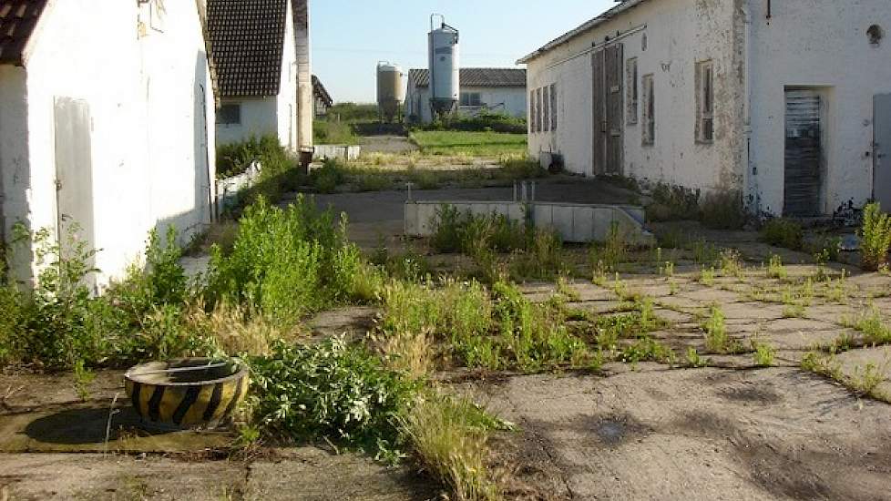 In juni 2012 stond het bedrijf al twee jaar leeg. De zeshonderd zeugenplaatsen waren verdeeld over maar liefst negen verschillende schuren en stallen. Vroeger, binnen de LPG, was er genoeg werkvolk beschikbaar om met schotjes en bezems te helpen met het v