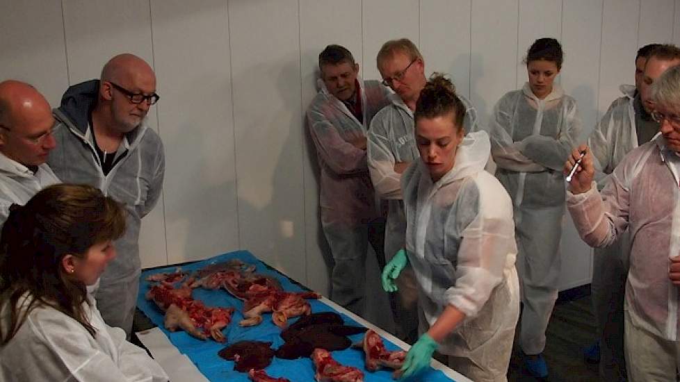 MSD verzorgde de demonstratie en daarmee de aftrap van de avond. Drie mensen van de farmaceut waren de hele dag in weer geweest op het varkensbedrijf van Johnny Hogenkamp om voldoende sectiemateriaal te kunnen laten zien. Specialisten van MSD gingen in wo