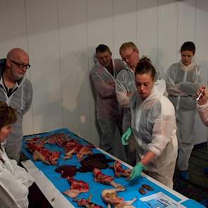 MSD verzorgde de demonstratie en daarmee de aftrap van de avond. Drie mensen van de farmaceut waren de hele dag in weer geweest op het varkensbedrijf van Johnny Hogenkamp om voldoende sectiemateriaal te kunnen laten zien. Specialisten van MSD gingen in wo