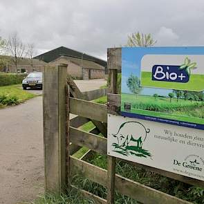 Van Leeuwen zet zijn vleesvarkens af aan Vion-dochter de Groene Weg. „De vierkantsverwaarding lukt redelijk binnen De Groene Weg”, ervaart hij. „Veel supermarkten verkopen Bio+ varkensvlees. Dat komt van de Groene Weg, net als het biologische 'Puur & Eerl