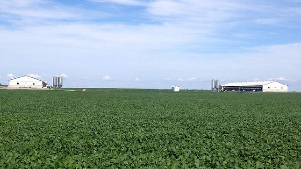 Bij de bouw van een nieuwe varkensstal is het nutrient management plan de belangrijkste voorwaarde. Afhankelijk van de gemeente moet de varkenshouder 25 tot 50 procent van de mest op zijn eigen grond kunnen afzetten. Voor de overige mestafzet ben je verpl