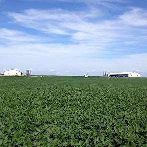 Bij de bouw van een nieuwe varkensstal is het nutrient management plan de belangrijkste voorwaarde. Afhankelijk van de gemeente moet de varkenshouder 25 tot 50 procent van de mest op zijn eigen grond kunnen afzetten. Voor de overige mestafzet ben je verpl