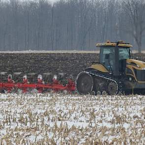 De Canadese grondprijzen zijn afgelopen decennium sterk gestegen. Waar de broers in 2000 nog rond de 7.000 euro per hectare betaalden, lopen de grondprijzen nu op tot soms wel tot 30.000 euro per hectare. Ze hebben de afgelopen jaren dan ook geen grond me