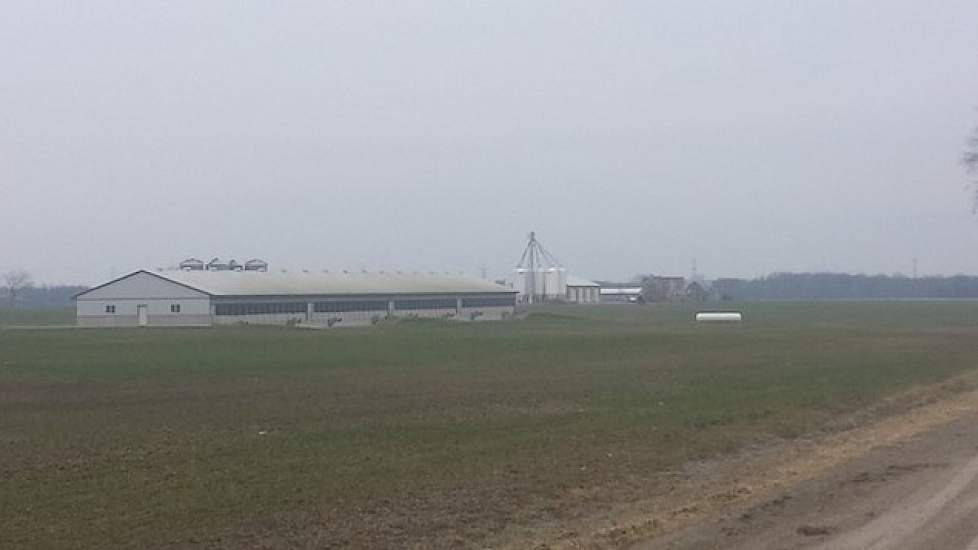 De kaalslag heeft alles te maken met de slechte omstandigheden waarin de Canadese varkenshouderij heeft geleefd. Lage opbrengstprijzen, hoge voerprijzen en een hoge Canadese dollar zaten een goede marge in de weg. Sinds een paar maanden is de stemming tot