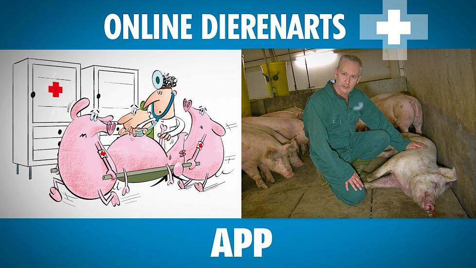 Online Dierenarts: APP