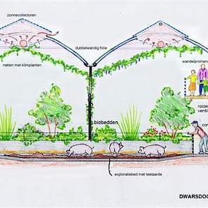 De aanwezigheid van groen in de stal, in de vorm van bomen, klimplanten,plantenbakken waarin verschillende niet-giftige planten groeien.