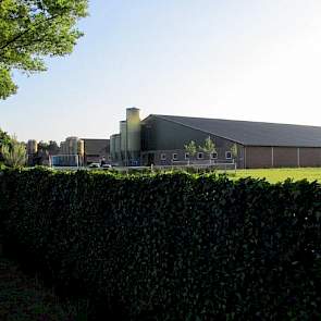 Deze stallen dateren van 1998 en 2010 en zijn klaar voor de toekomst. De voorste stal is uitgerust met een luchtwasser en achter de stal in het midden wordt momenteel met een luchtwasser met warmtewisselaar geplaatst.