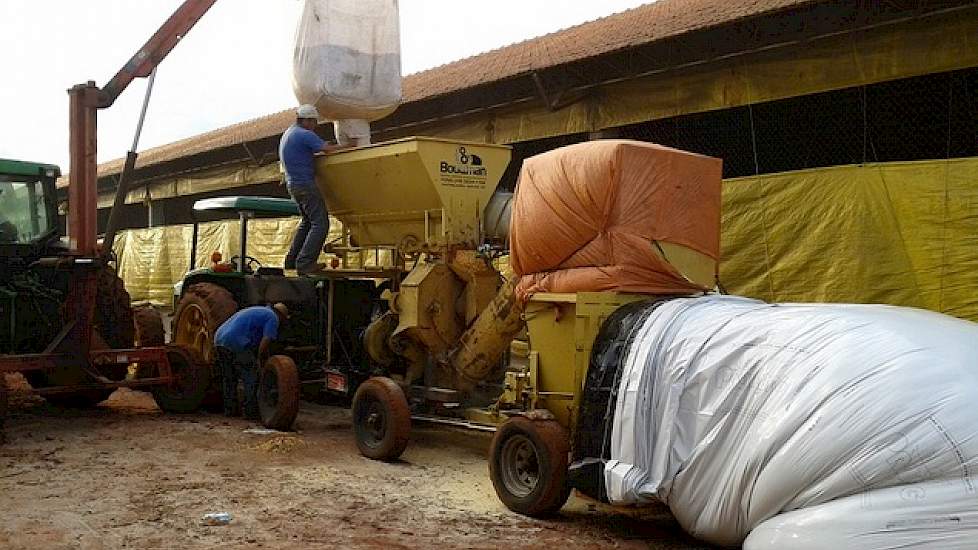 Borg is van mening dat de combinatie akkerbouw met het houden van vee, Brazilië zo aantrekkelijk maakt. „We produceren elk jaar van dezelfde hectare grond: voedsel voor de dieren en graan voor de wereldmarkt.”