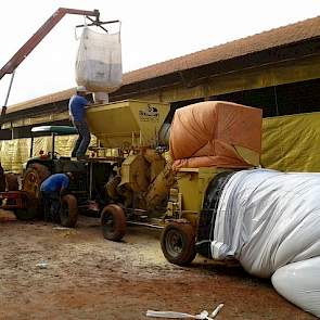 Borg is van mening dat de combinatie akkerbouw met het houden van vee, Brazilië zo aantrekkelijk maakt. „We produceren elk jaar van dezelfde hectare grond: voedsel voor de dieren en graan voor de wereldmarkt.”