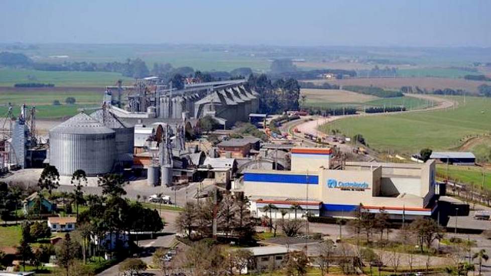 Castrolanda is een landbouwcoöperatie in de zuidelijke Braziliaanse staat Paraná. De naam is een samenvoeging van de stad (Castro) waar de Nederlandse kolonie is gevestigd en de Portugese naam voor Nederland (Holanda). De coöperatie is in 1951 opgericht d