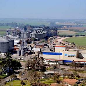 Castrolanda is een landbouwcoöperatie in de zuidelijke Braziliaanse staat Paraná. De naam is een samenvoeging van de stad (Castro) waar de Nederlandse kolonie is gevestigd en de Portugese naam voor Nederland (Holanda). De coöperatie is in 1951 opgericht d