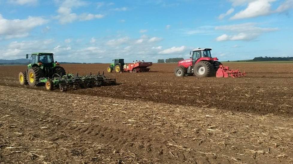 In totaal heeft Borg 25 mensen in dienst. Twaalf man houden zich bezig met de aardappelteelt in de winter. Hij heeft ongeveer 500 hectare aan consumptieaardappelen. Tien man zijn belast met de graanteelt in de zomer.