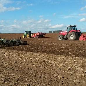 In totaal heeft Borg 25 mensen in dienst. Twaalf man houden zich bezig met de aardappelteelt in de winter. Hij heeft ongeveer 500 hectare aan consumptieaardappelen. Tien man zijn belast met de graanteelt in de zomer.