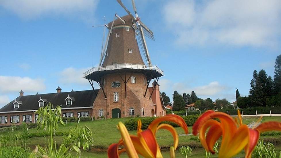 Op het terrein staat nog een replica van een Nederlandse molen. Niet zonder reden, want een kwart van de leden heeft nog steeds een Nederlandse afkomst. Afgelopen jaar behaalde Castrolanda een omzet van 530 miljoen euro. Het overgrote deel van de omzet wo