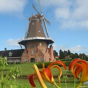 Op het terrein staat nog een replica van een Nederlandse molen. Niet zonder reden, want een kwart van de leden heeft nog steeds een Nederlandse afkomst. Afgelopen jaar behaalde Castrolanda een omzet van 530 miljoen euro. Het overgrote deel van de omzet wo