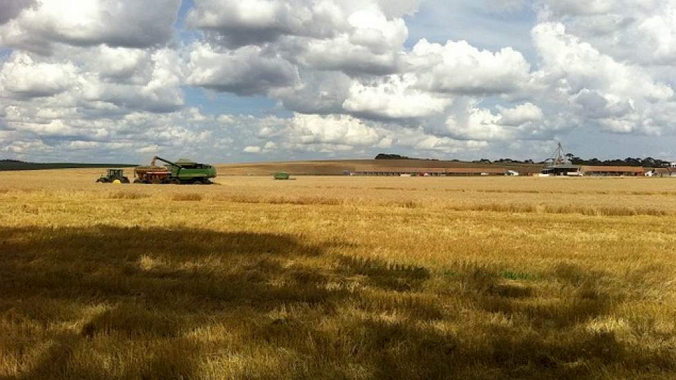 Borg heeft naast zijn twee varkensbedrijven nog 1.050 hectare grond, die hij gebruikt voor de teelt van: soja, maïs, tarwe, haver, consumptieaardappelen en bonen. In de zomer telen ze  hoofdzakelijk soja, maïs, bonen en aardappelen. En in de winter tarwe