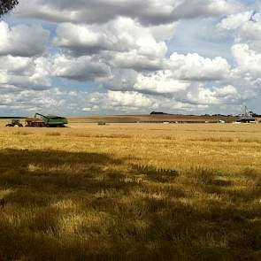 Borg heeft naast zijn twee varkensbedrijven nog 1.050 hectare grond, die hij gebruikt voor de teelt van: soja, maïs, tarwe, haver, consumptieaardappelen en bonen. In de zomer telen ze  hoofdzakelijk soja, maïs, bonen en aardappelen. En in de winter tarwe