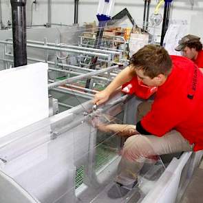 Op het bedrijf van de familie Van den Elsen wordt de laatste hand gelegd aan de inrichting van de nieuwe zeugenstal. In de stal is ruimte voor ruim 400 zeugen. Van den Elsen heeft besloten toekomstgericht te bouwen, zodat zijn eventuele opvolger niet meet