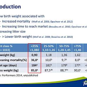 In deze tabel de vier gewichtscategorieën: 1080 gram of minder, 1100 tot 1260 gram, 1280 tot 1445 gram  en 1460 gram of meer. Bij de lichtste gewichtsklasse, gemiddeld 25 procent van het aantal geboren biggen, bleek het uitvalpercentage op 36,8 procent te