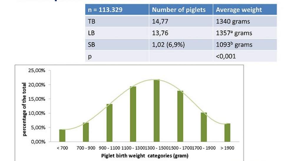 Een overzicht van de geboortegewichten van de onderzochte biggen. Waarbij opvalt dat de meeste biggen boven de kritische grens van 1100 gram wegen. Gemiddeld geboortegewicht ligt op 1340 gram. Verder is duidelijk dat de doodgeboren biggen (uitval 1,02 big
