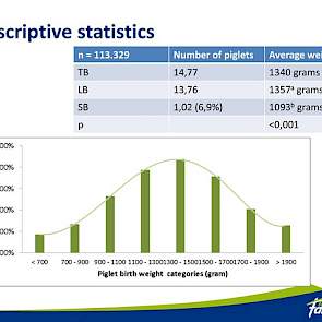 Een overzicht van de geboortegewichten van de onderzochte biggen. Waarbij opvalt dat de meeste biggen boven de kritische grens van 1100 gram wegen. Gemiddeld geboortegewicht ligt op 1340 gram. Verder is duidelijk dat de doodgeboren biggen (uitval 1,02 big