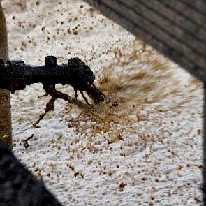 De behandeling van dunne fractie in de houten mestsilo’s is geheel biologisch en daardoor een nauwgezet proces. De bacteriën zijn gevoelig voor temperatuurschommelingen. Als de dunne fractie een temperatuur heeft tussen de 35 en 40 graden Celsius werken d