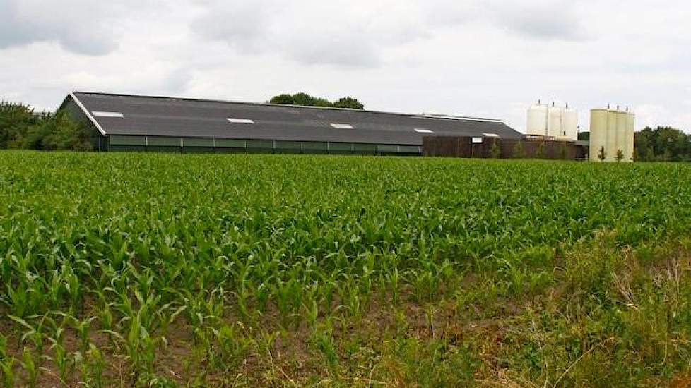 De biologische mestbewerkingsinstallatie heeft een capaciteit van 35.000 kuub op jaarbasis. Wat vooral opvalt aan de installatie zijn de grote en vele silo’s die op het erf staan. Er staan zeven grote polyester silo’s en twee grote houten mestsilo’s. De k