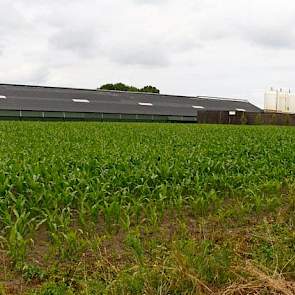 De biologische mestbewerkingsinstallatie heeft een capaciteit van 35.000 kuub op jaarbasis. Wat vooral opvalt aan de installatie zijn de grote en vele silo’s die op het erf staan. Er staan zeven grote polyester silo’s en twee grote houten mestsilo’s. De k