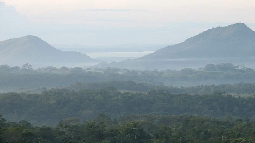 In de verte zijn de contouren van de immense Stille Oceaan zichtbaar. Idyllisch ziet de omgeving eruit. In 1995 streken de Nederlanders hier neer om een nieuw varkensbedrijf op te zetten. Ze hadden negen maanden door Costa Rica rondgetrokken en hun oog vi