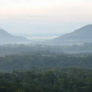 In de verte zijn de contouren van de immense Stille Oceaan zichtbaar. Idyllisch ziet de omgeving eruit. In 1995 streken de Nederlanders hier neer om een nieuw varkensbedrijf op te zetten. Ze hadden negen maanden door Costa Rica rondgetrokken en hun oog vi