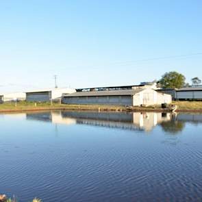 Om het extreme droge weer voor te zijn, is hij bezig geweest met een omvangrijke investering. Momenteel gebruikt hij veel meer water dan waar hij recht op heeft. Daarom is hij bezig geweest met de aankoop van een irrigatiebedrijf met waterrechten voor 120