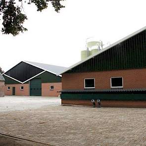 Alle mest van het bedrijf loopt via een riool naar de voorkant van het bedrijf. De zeugenhouders kozen voor slechts één aanzuigpunt vanwege de hygiëne. „Mesttankwagens komen op diverse varkensbedrijven, om ziekteoverdracht te minimaliseren is het goed dat