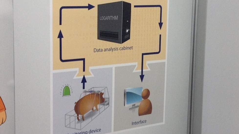 Daarnaast presenteerde Ro-main nog een berigheidsdetectiesysteem. Een datakast met analysesysteem wordt boven op de zeugenbox gezet. Deze registreert continu het gedrag van de zeug. Als de zeug het piekmoment in haar berigheid bereikt, krijgt de varkensho